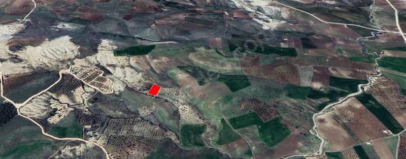 Paribus Gayrimenkul'den Fırsat Satılık Bağ Evlik Arazi — fotoğraf 8