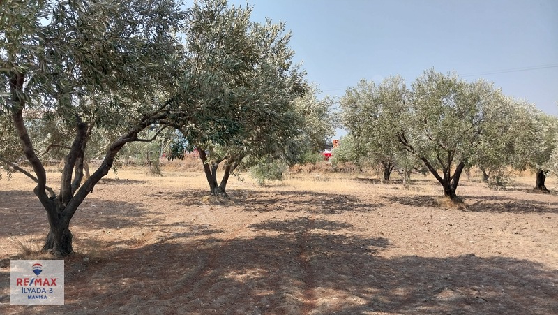 Saruhanlı Mütevelli'de Yatırıma Uygun! Kdkç Alanı İmarlı, Tarla — fotoğraf 2