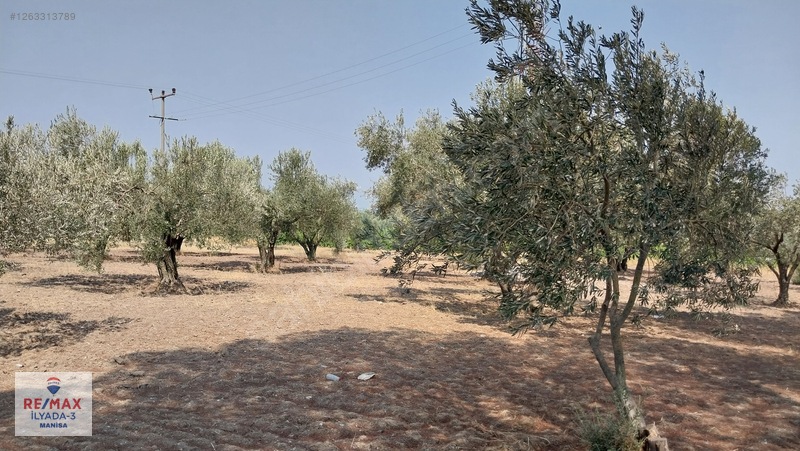 Saruhanlı Mütevelli'de Yatırıma Uygun! Kdkç Alanı İmarlı, Tarla — fotoğraf 3