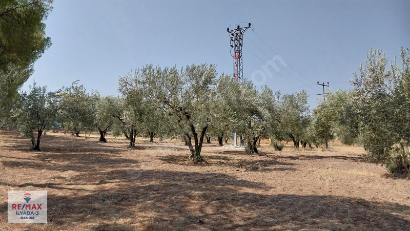 Saruhanlı Mütevelli'de Yatırıma Uygun! Kdkç Alanı İmarlı, Tarla — fotoğraf 6