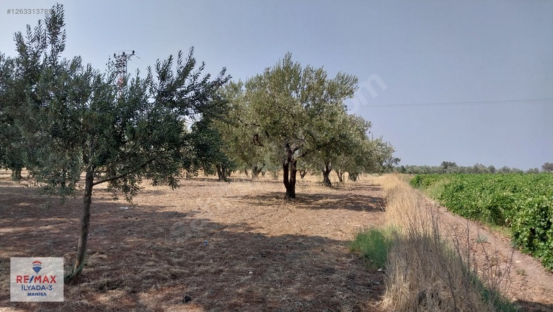 Saruhanlı Mütevelli'de Yatırıma Uygun! Kdkç Alanı İmarlı, Tarla — fotoğraf 8