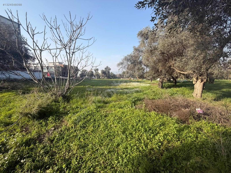 Şevketiye Mahallesinde Satılık Tarla — fotoğraf 3