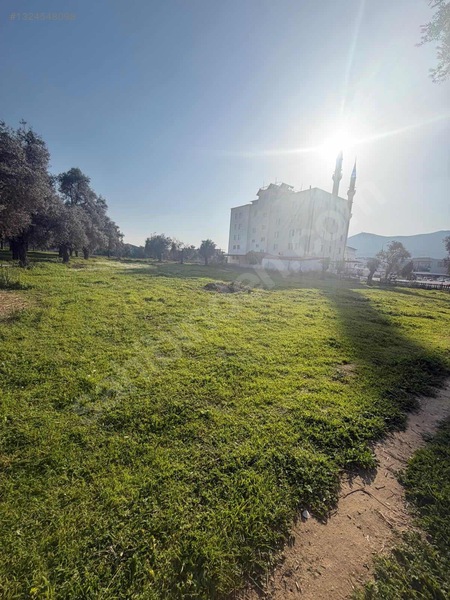 Şevketiye Mahallesinde Satılık Tarla — fotoğraf 6