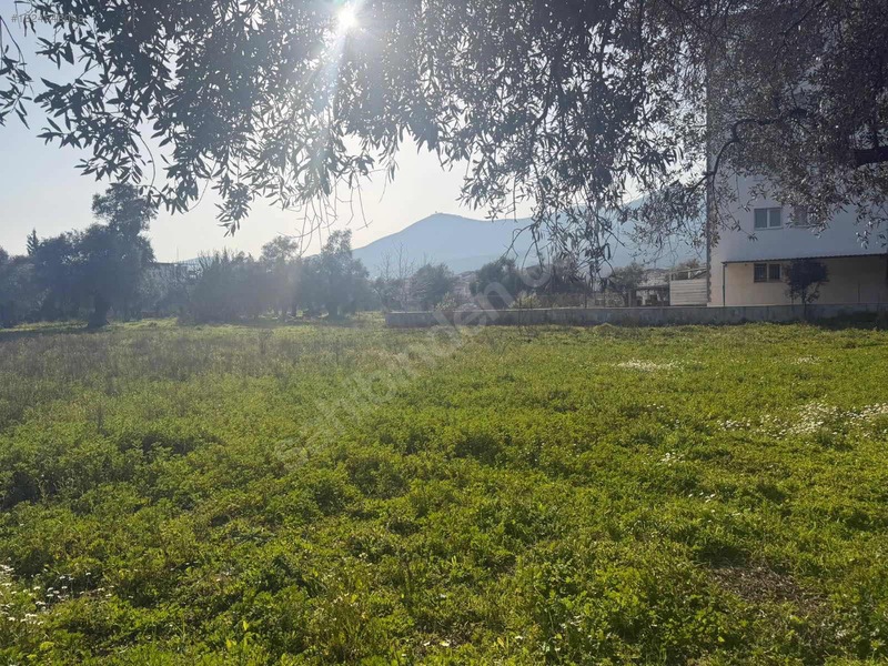 Şevketiye Mahallesinde Satılık Tarla — fotoğraf 9