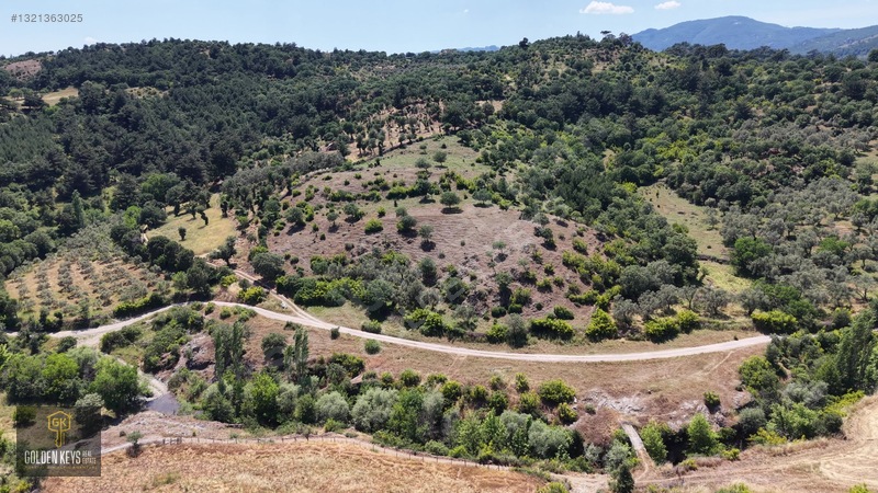Bergama Tırmanlar Mahallesinde 26,902 M2 Acil Satılık Tarla