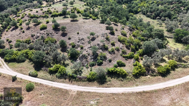 Bergama Tırmanlar Mahallesinde 26,902 M2 Acil Satılık Tarla — fotoğraf 5