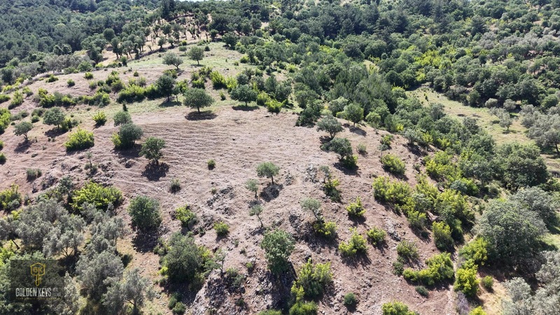 Bergama Tırmanlar Mahallesinde 26,902 M2 Acil Satılık Tarla — fotoğraf 6