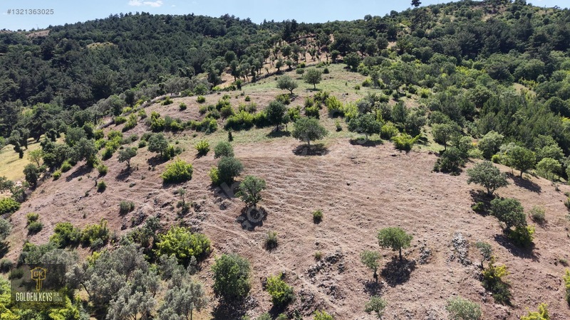 Bergama Tırmanlar Mahallesinde 26,902 M2 Acil Satılık Tarla — fotoğraf 7