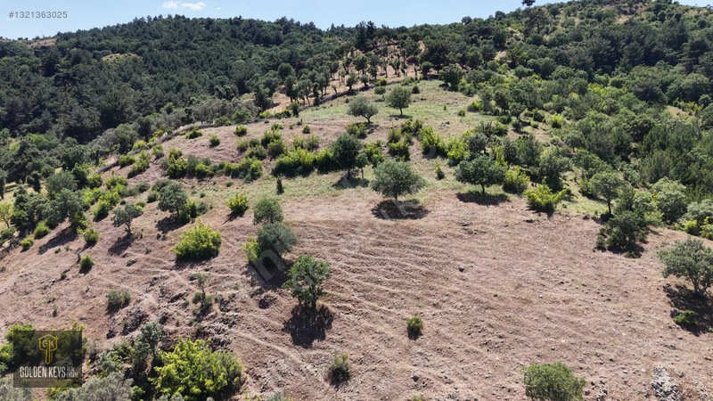 Bergama Tırmanlar Mahallesinde 26,902 M2 Acil Satılık Tarla — fotoğraf 8