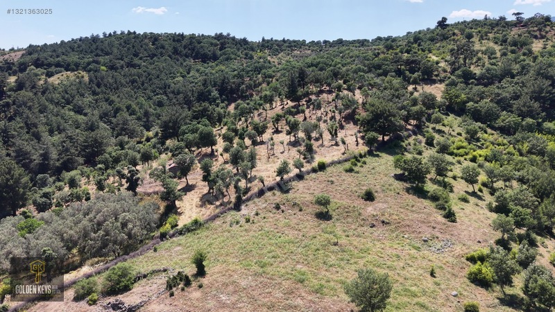 Bergama Tırmanlar Mahallesinde 26,902 M2 Acil Satılık Tarla — fotoğraf 9