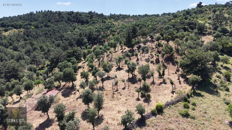 Bergama Tırmanlar Mahallesinde 26,902 M2 Acil Satılık Tarla — fotoğraf 10