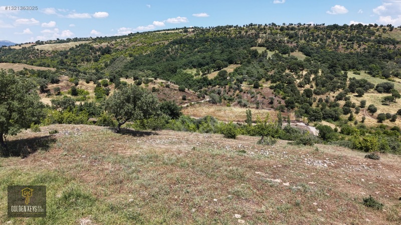 Bergama Tırmanlar Mahallesinde 26,902 M2 Acil Satılık Tarla — fotoğraf 11