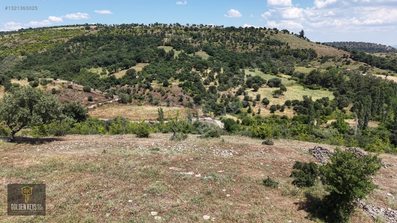 Bergama Tırmanlar Mahallesinde 26,902 M2 Acil Satılık Tarla — fotoğraf 12