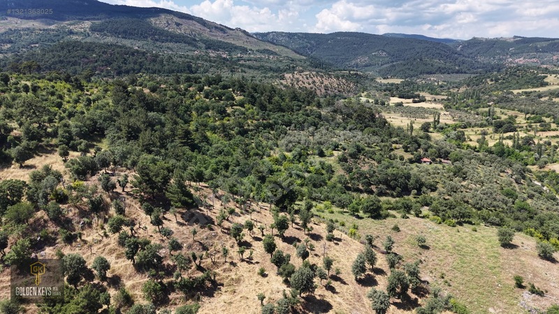 Bergama Tırmanlar Mahallesinde 26,902 M2 Acil Satılık Tarla — fotoğraf 13