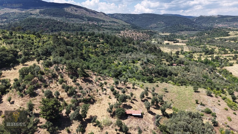 Bergama Tırmanlar Mahallesinde 26,902 M2 Acil Satılık Tarla — fotoğraf 14