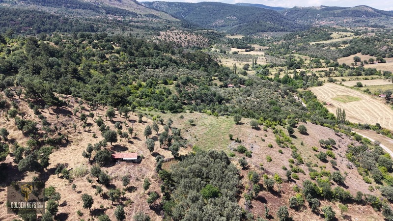 Bergama Tırmanlar Mahallesinde 26,902 M2 Acil Satılık Tarla — fotoğraf 15