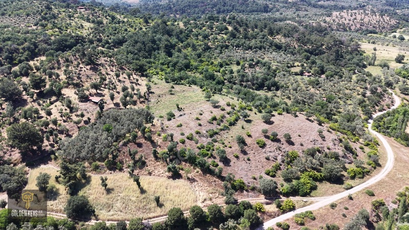 Bergama Tırmanlar Mahallesinde 26,902 M2 Acil Satılık Tarla — fotoğraf 17