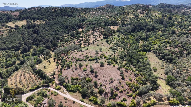 Bergama Tırmanlar Mahallesinde 26,902 M2 Acil Satılık Tarla — fotoğraf 19