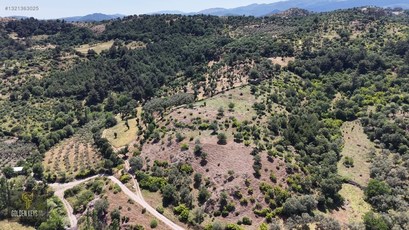 Bergama Tırmanlar Mahallesinde 26,902 M2 Acil Satılık Tarla — fotoğraf 20