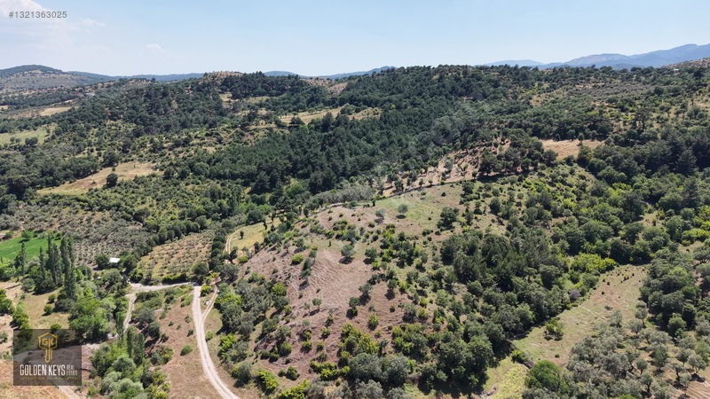 Bergama Tırmanlar Mahallesinde 26,902 M2 Acil Satılık Tarla — fotoğraf 21