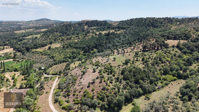 Bergama Tırmanlar Mahallesinde 26,902 M2 Acil Satılık Tarla — fotoğraf 22