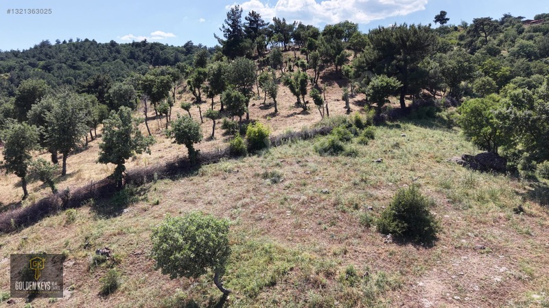 Bergama Tırmanlar Mahallesinde 26,902 M2 Acil Satılık Tarla — fotoğraf 23