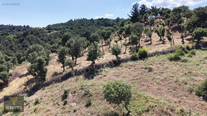 Bergama Tırmanlar Mahallesinde 26,902 M2 Acil Satılık Tarla — fotoğraf 24