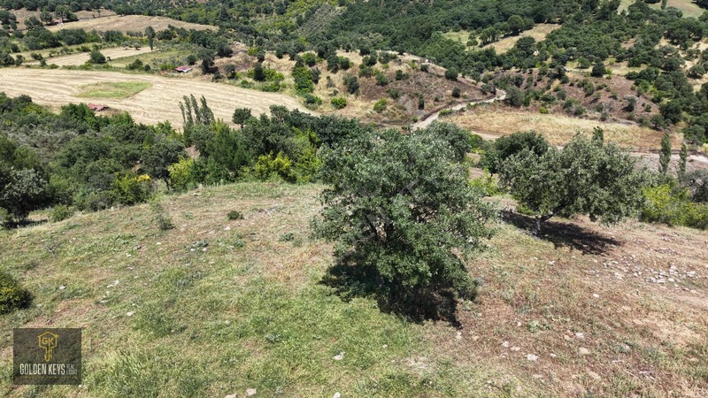 Bergama Tırmanlar Mahallesinde 26,902 M2 Acil Satılık Tarla — fotoğraf 25