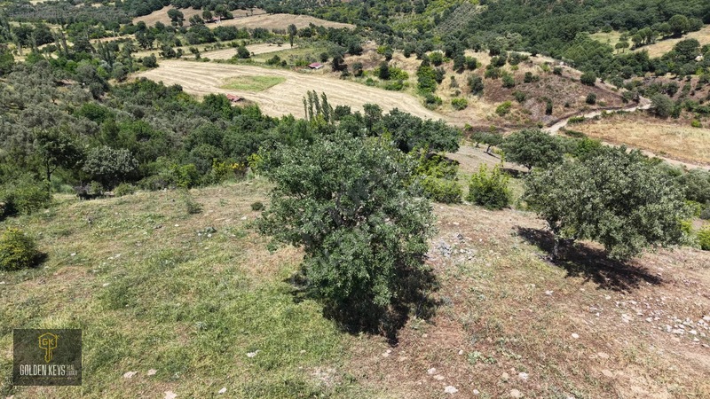 Bergama Tırmanlar Mahallesinde 26,902 M2 Acil Satılık Tarla — fotoğraf 26