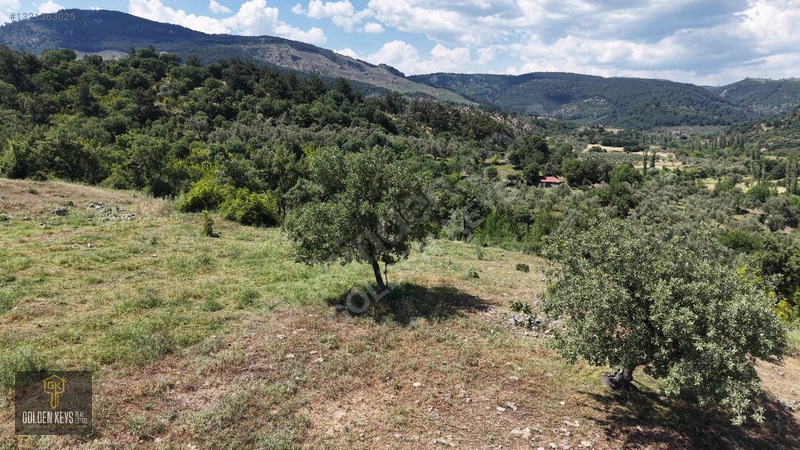 Bergama Tırmanlar Mahallesinde 26,902 M2 Acil Satılık Tarla — fotoğraf 27