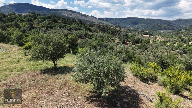 Bergama Tırmanlar Mahallesinde 26,902 M2 Acil Satılık Tarla — fotoğraf 28