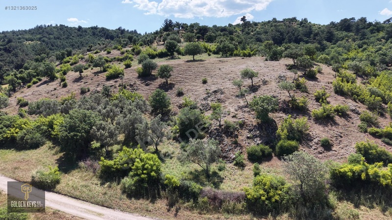 Bergama Tırmanlar Mahallesinde 26,902 M2 Acil Satılık Tarla — fotoğraf 31