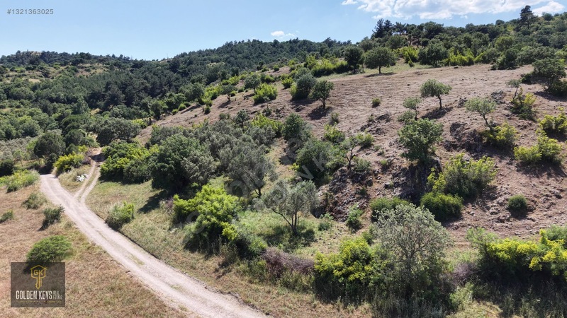 Bergama Tırmanlar Mahallesinde 26,902 M2 Acil Satılık Tarla — fotoğraf 32