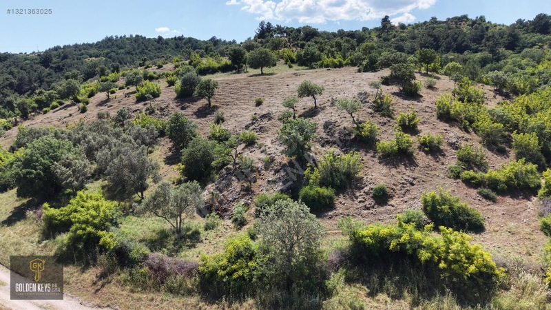 Bergama Tırmanlar Mahallesinde 26,902 M2 Acil Satılık Tarla — fotoğraf 33