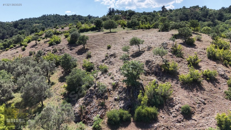 Bergama Tırmanlar Mahallesinde 26,902 M2 Acil Satılık Tarla — fotoğraf 34