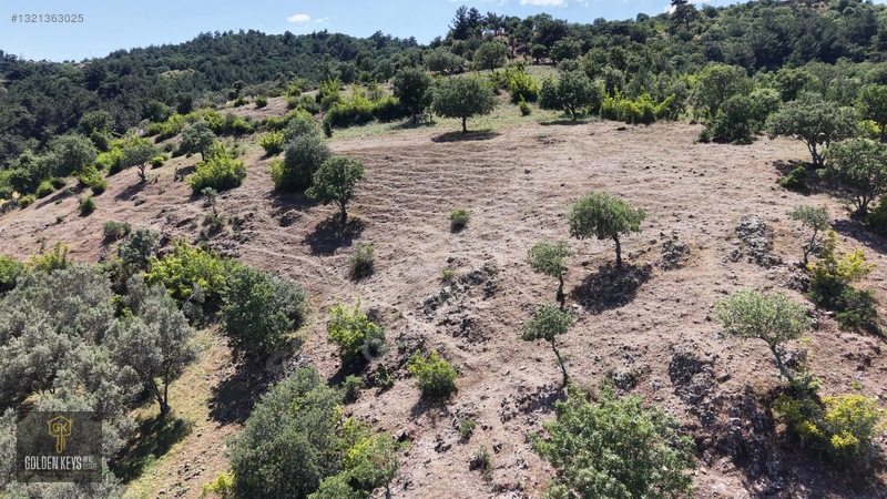 Bergama Tırmanlar Mahallesinde 26,902 M2 Acil Satılık Tarla — fotoğraf 35