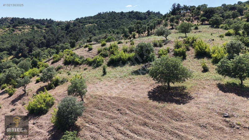 Bergama Tırmanlar Mahallesinde 26,902 M2 Acil Satılık Tarla — fotoğraf 36