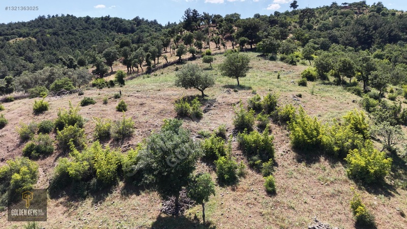 Bergama Tırmanlar Mahallesinde 26,902 M2 Acil Satılık Tarla — fotoğraf 37