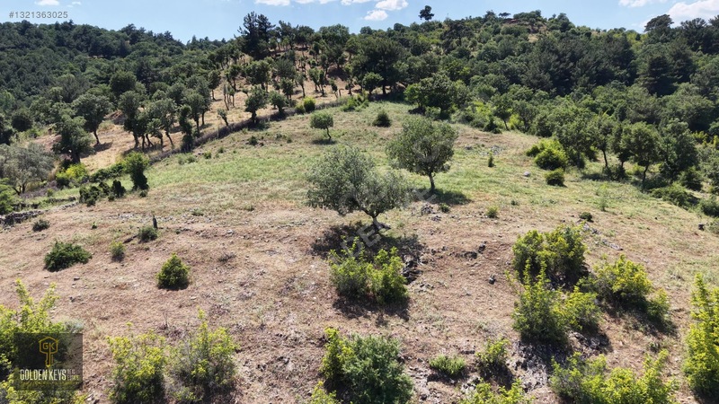 Bergama Tırmanlar Mahallesinde 26,902 M2 Acil Satılık Tarla — fotoğraf 38