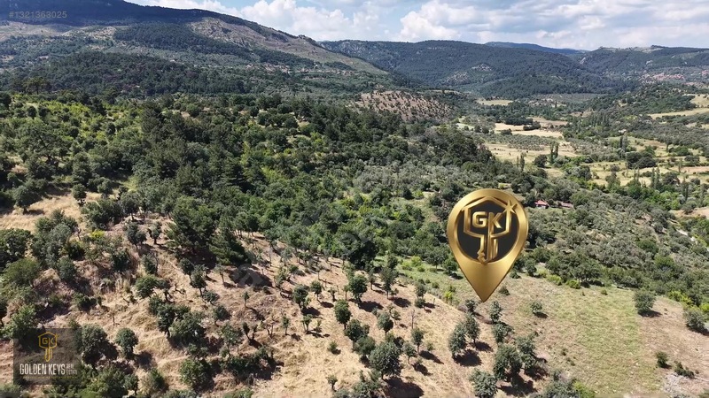 Bergama Tırmanlar Mahallesinde 26,902 M2 Acil Satılık Tarla — fotoğraf 39
