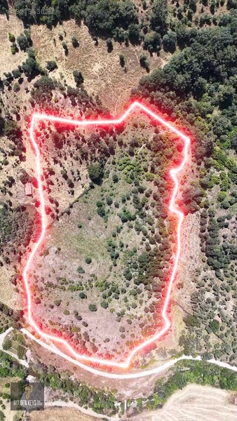 Bergama Tırmanlar Mahallesinde 26,902 M2 Acil Satılık Tarla — fotoğraf 40