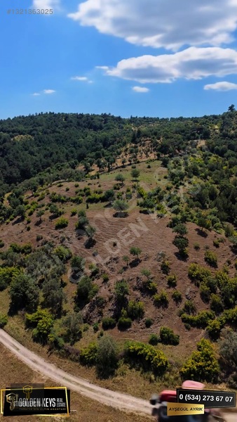 Bergama Tırmanlar Mahallesinde 26,902 M2 Acil Satılık Tarla — fotoğraf 46