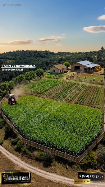 Bergama Tırmanlar Mahallesinde 26,902 M2 Acil Satılık Tarla — fotoğraf 48