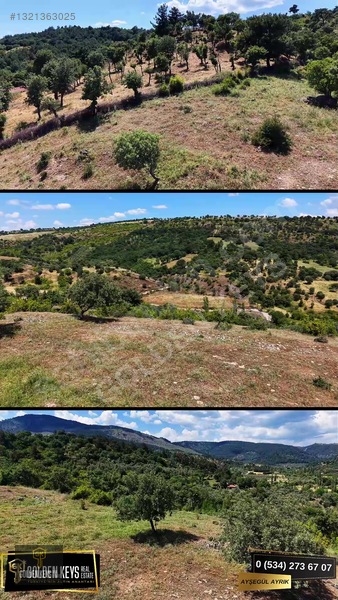 Bergama Tırmanlar Mahallesinde 26,902 M2 Acil Satılık Tarla — fotoğraf 52