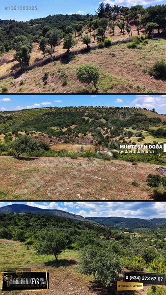 Bergama Tırmanlar Mahallesinde 26,902 M2 Acil Satılık Tarla — fotoğraf 53