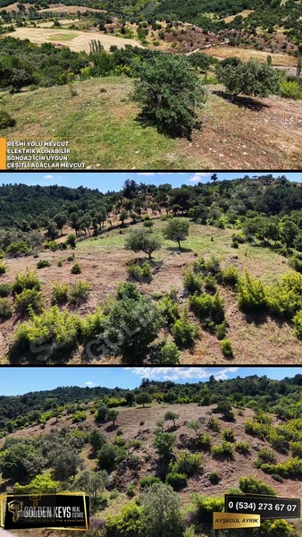 Bergama Tırmanlar Mahallesinde 26,902 M2 Acil Satılık Tarla — fotoğraf 54