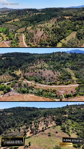 Bergama Tırmanlar Mahallesinde 26,902 M2 Acil Satılık Tarla — fotoğraf 55