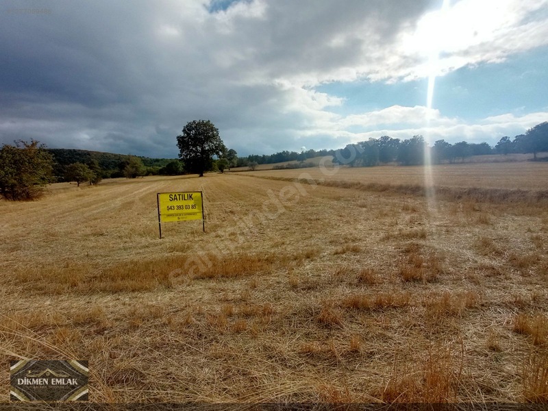 Saraycık Türbin Yolu Üzerinde Satılık 10,500 M2 Tarla — fotoğraf 3