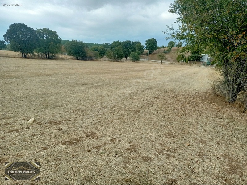 Saraycık Türbin Yolu Üzerinde Satılık 10,500 M2 Tarla — fotoğraf 9
