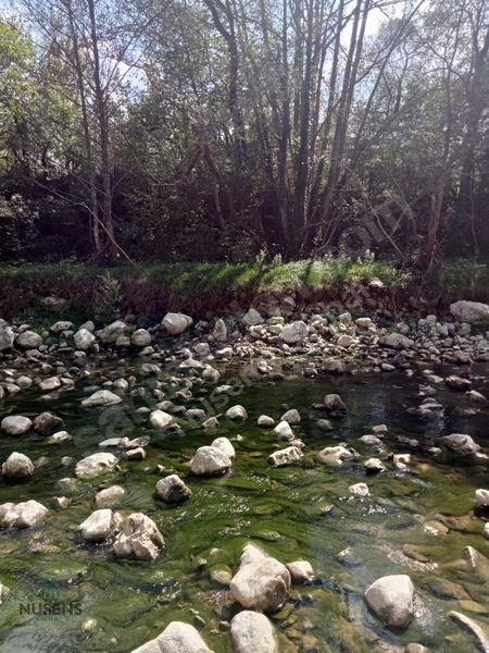 Kastamonu Horma Kanyonunda Otoparka Sıfır Kupon Arsa